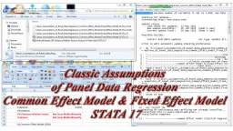 Classic Assumptions of Panel Data Regression Common Effect Model & Fixed Effect Model STATA 17