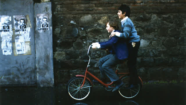 Dos mitades para vivir