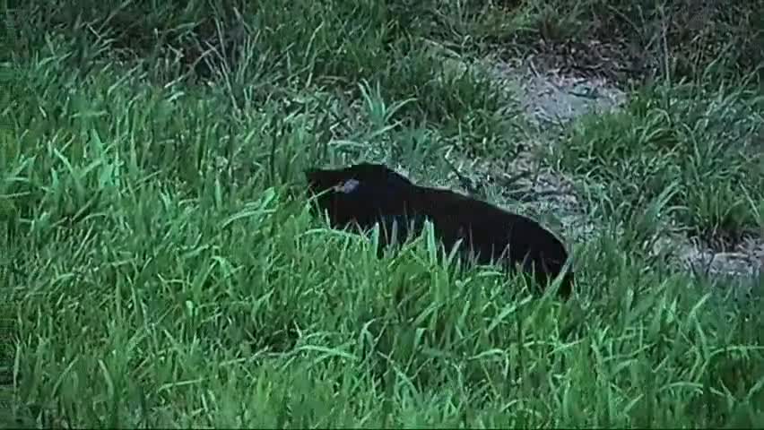 201809120210479.mp4 201809120210479.mp4