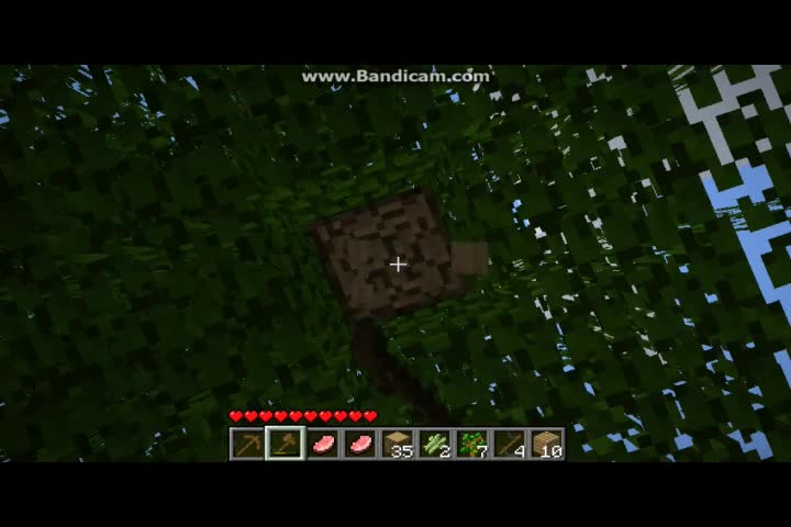Minecraft Let's Play Episode 1