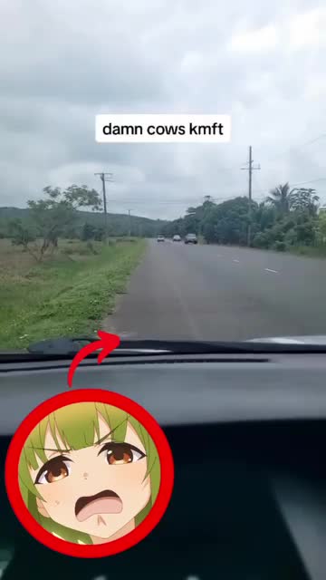 bomboclat