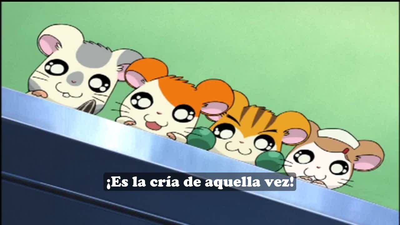 Hep126