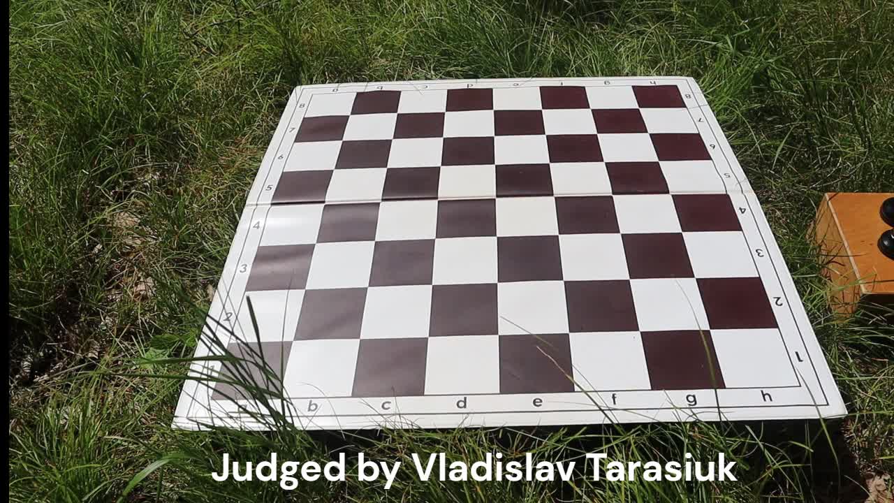 Michael Pasman - chess study with draw