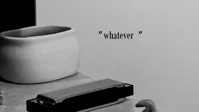 neverdream - whatever neverdream - whatever