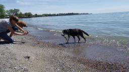 LUKE'S INCREDIBLE BEACH ADVENTURE