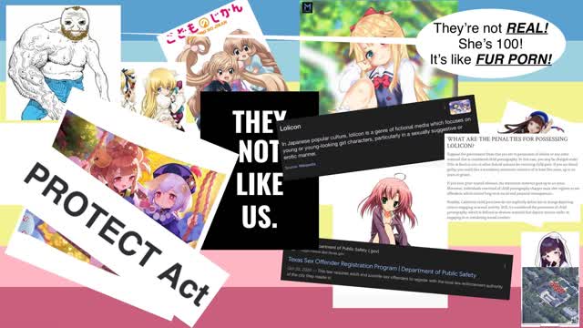 STOP DEFENDING LOLI!!!!