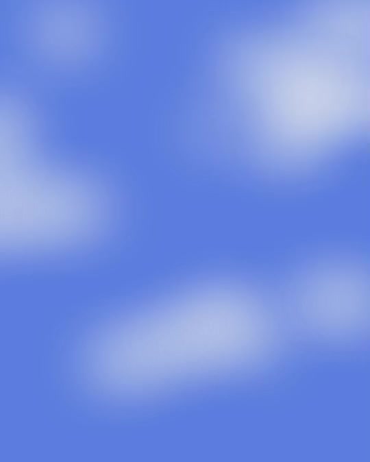 Birds Birds