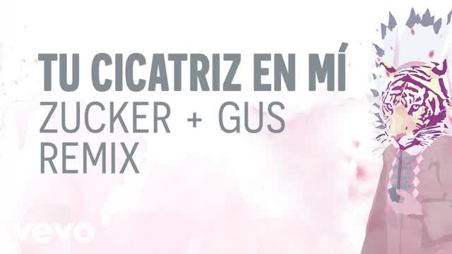 Gustavo Cerati - Tu Cicatriz En Mi (Remix 2003) Gustavo Cerati - Tu Cicatriz En Mi (Remix 2003)
