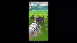 Pokémon GO PVP 96
