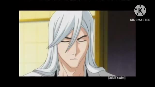 Bleach | S8 EP27 | Toonami ([adult swim])