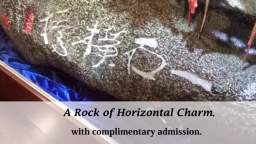 A Rock of Horizontal Charm in H.H. Dorje Chang Buddha III Cultural and Art Museum