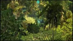 MY FAIR USE CREATIVITY OF MY RAIN FOREST -  Paul Hardcastle - Rainforest[via torchbrowser.com]