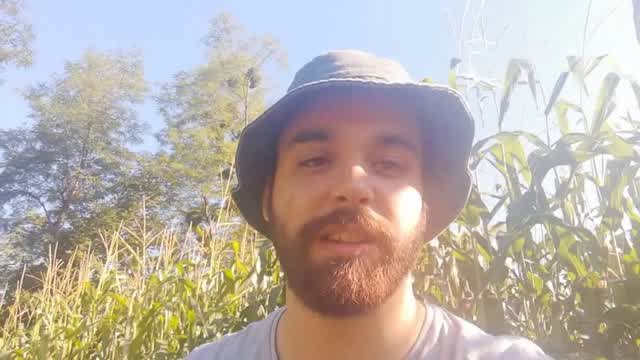 Announcement: Starting a lecture series on Deep Ecology, Anti-tech, Anti-civ, etc.