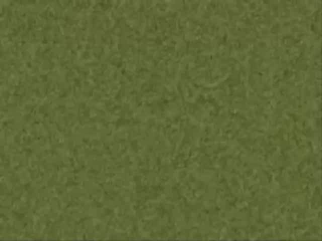 Klasky Csupo in Mystery Effect