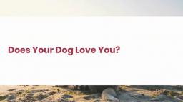 Does Your Dog Love You_