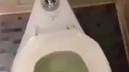 restroom vlog