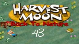 Let´s Play Harvest Moon; Back To Nature #43