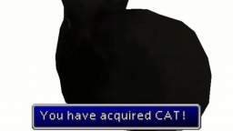 you have acquired CAT