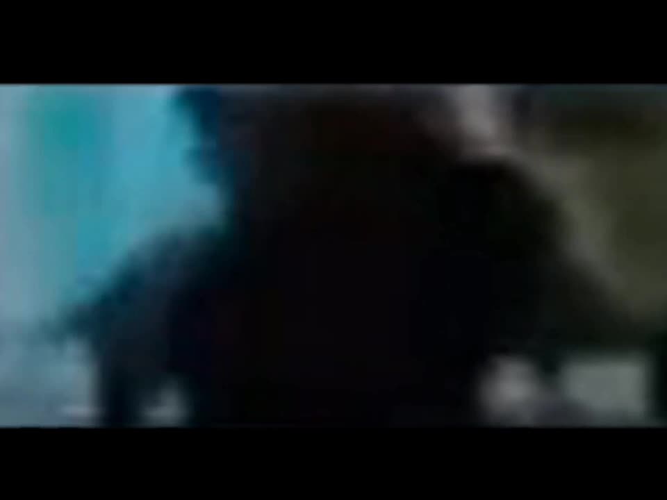 Un mosquito en un ascensor.