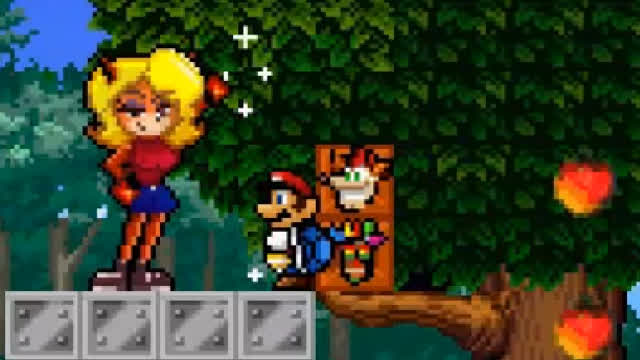 Mushroom Kingdom Fusion V0.88 Mario and Luigi in Crash Bandicoot Bonus Round