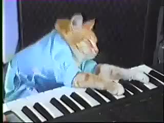 Keyboard Cat! - THE ORIGINAL
