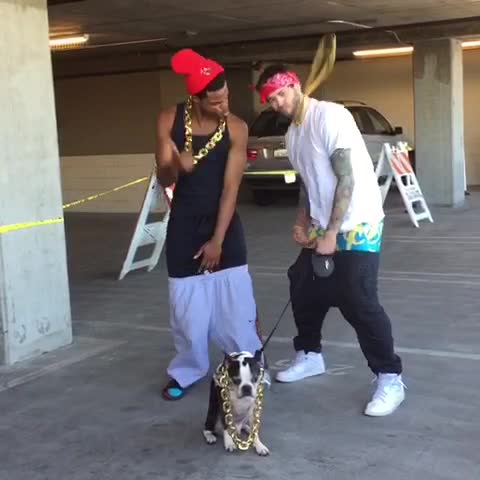 Do your chain hang low (Archived Vine #8)