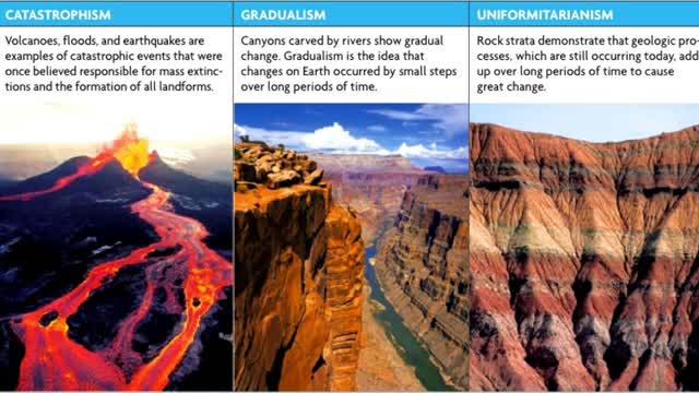 Creation VS. Evolution 4
