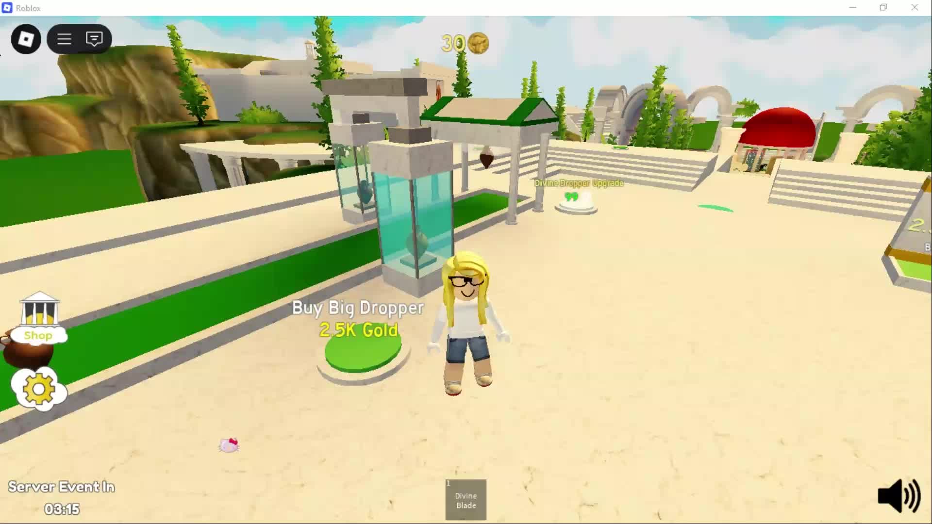 playing tycoon