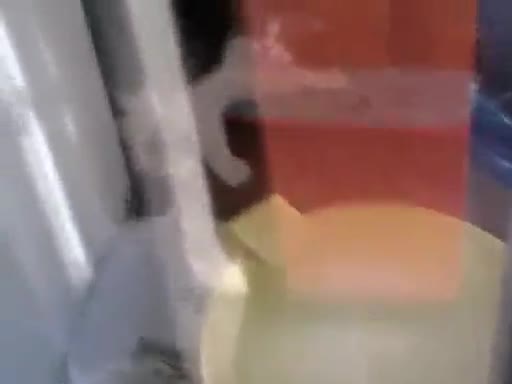 Arıza adamın kedisi delirdi!