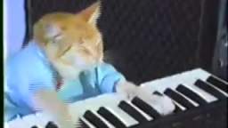 Charlie Schmidts Keyboard Cat! - THE ORIGINAL!