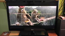 LG 37LE4500 37 inch 1080p HD LED Television with freeview plays back movie downloads great