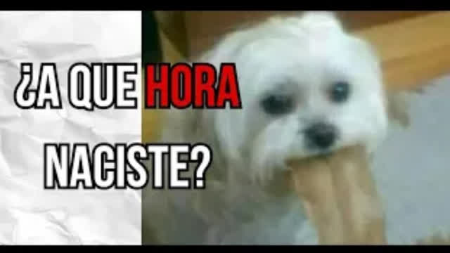 HICE EL PEOR TEST DE PERSONALIDAD