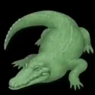 Crocodile Spinning to Gourmet Race from Kirby