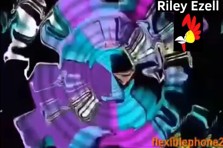 Fried Egg Goes Laugh Dolphin Round 8