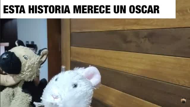 Esta Historia Merece un Oscar