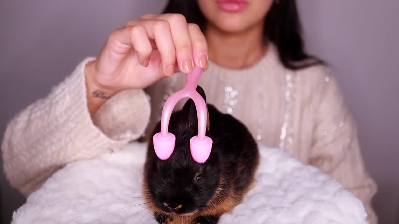 ASMR CUTE BUNNY SPA TREATMENT