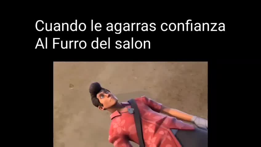 Cuando le Agarras Confianza el Furro del Salón (TF2)