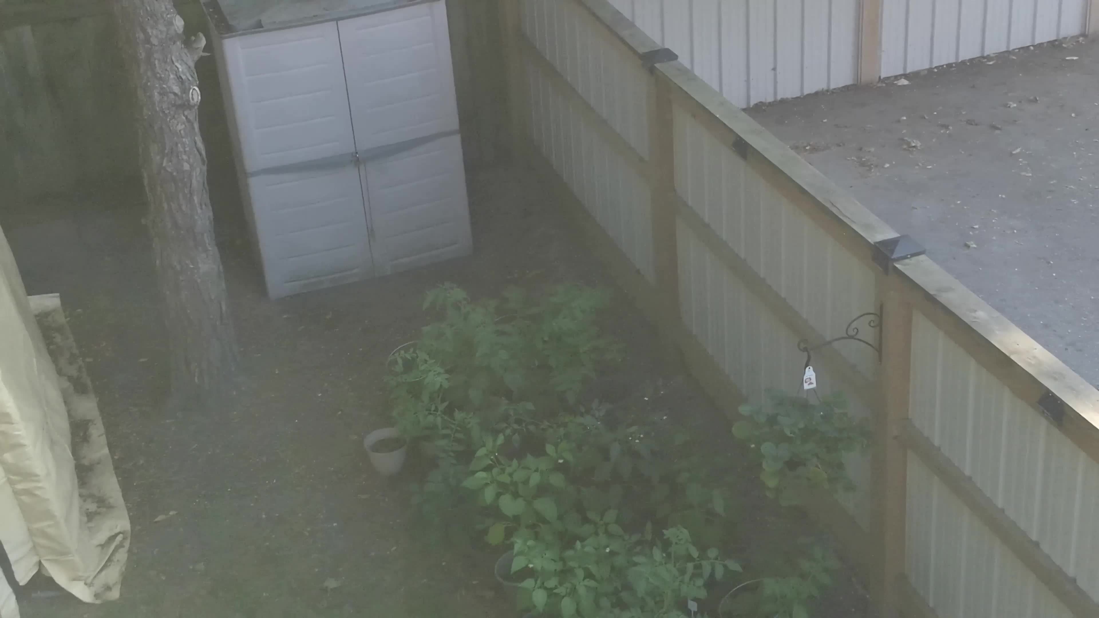Garden Tour by Drone