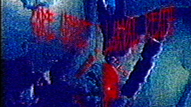 G0RE ADDICT／LARVAL DEATH (EXPLICIT)