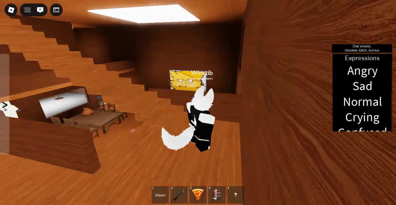 Roblox-2025-12-21T17_11_26.351Z