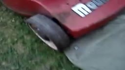 Horrific lawnmower accident