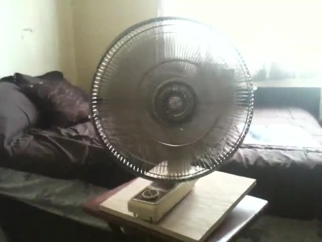 1980s Dayton wall fan (2010)