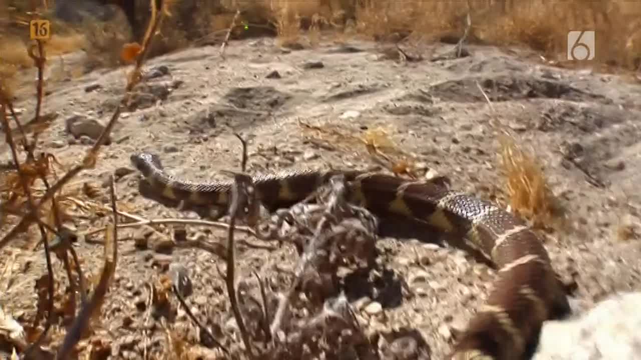 Śmierć na 1000 sposobów - S1 Odc. 8 (V2)