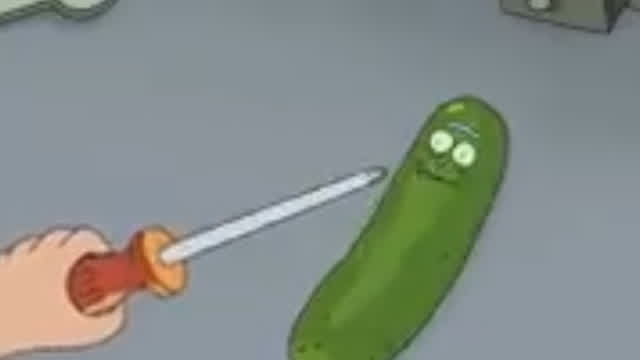 Pickle rick!!!!