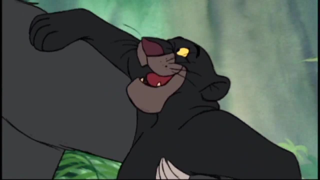 The Bare Necessities