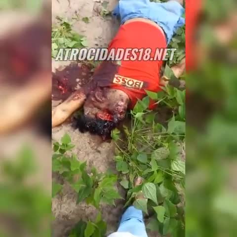 20250710095623whatsapp_video_2025-07-10_at_09.47.14