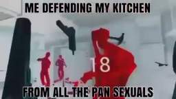 Defending my kitchen from pansexuals