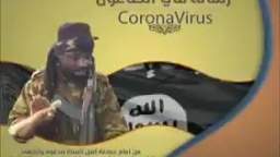 corona virus explication