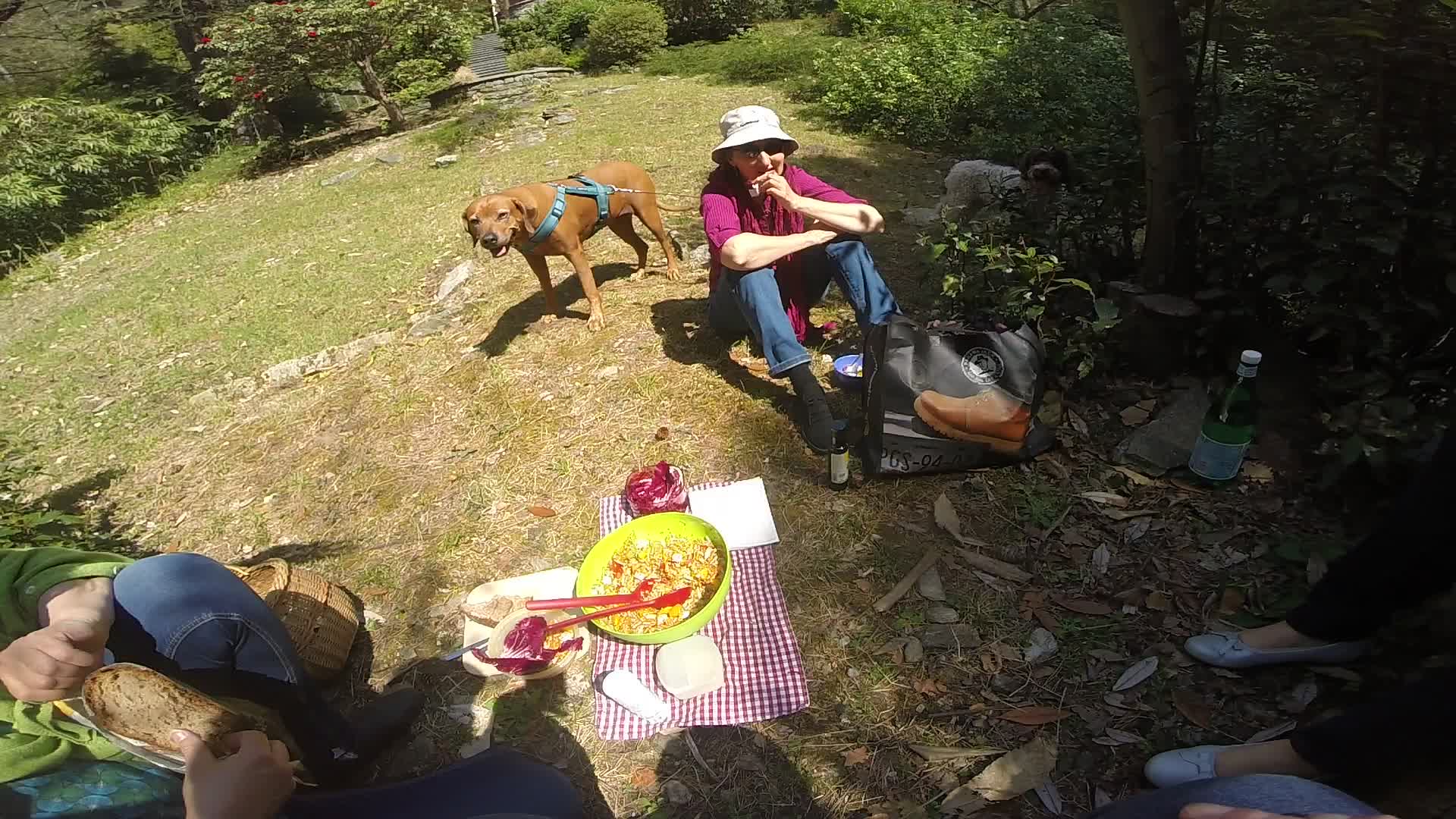 Picnic Sentiero de la Rocca