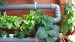 Hydroponics - Homemade Hydroponic NFT System